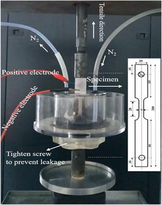 Hydrogen Diffusion and Its Effect on Hydrogen Embrittlement in DP Steels With Different Martensite Content